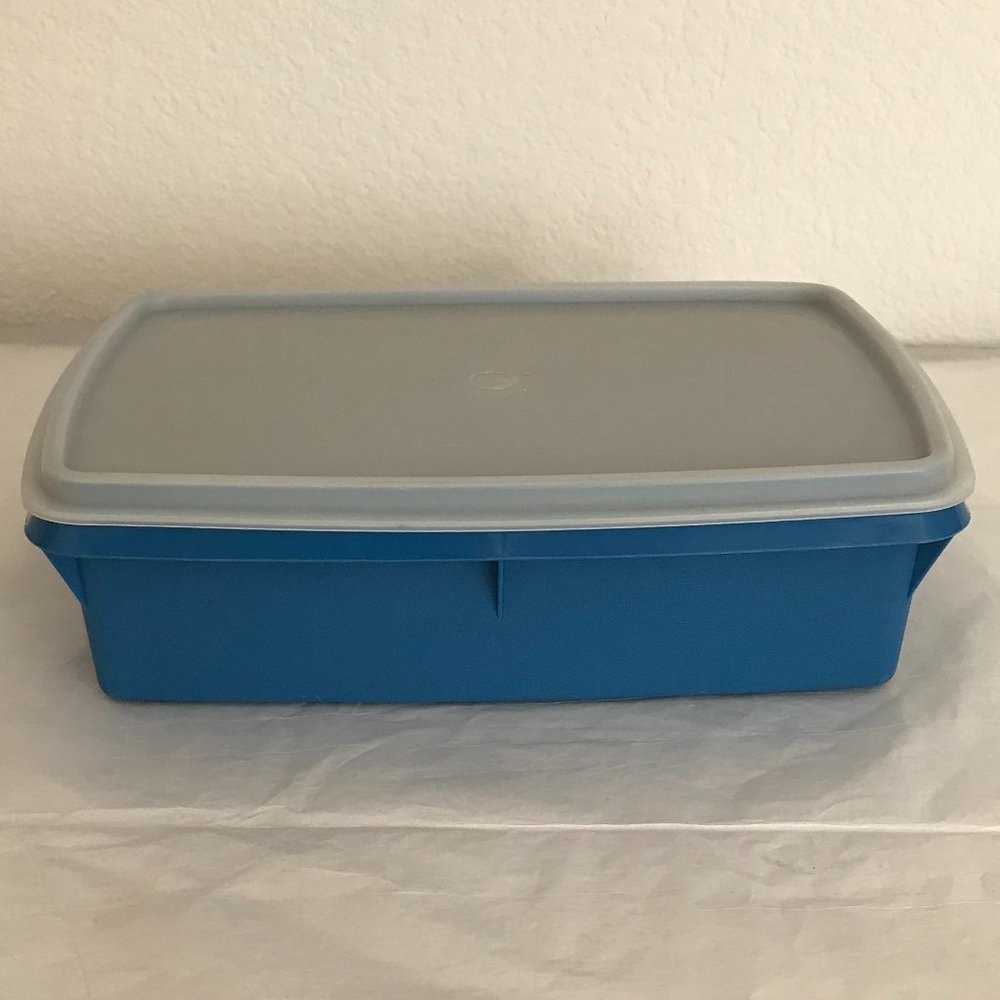 VINTAGE Blue Tupperware Tuppercraft Divided Container with Lid GREAT CONDITION